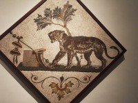 /album/photos-musee-de-naples/sdc12921-jpg/